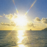 Elsa Bergliot Brogård